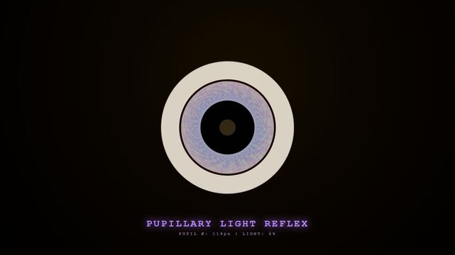 Observing the dynamic Biometric Data Flow of the human pupil contracting and dilating in response to fluctuating light levels, a crucial neurological reflex.