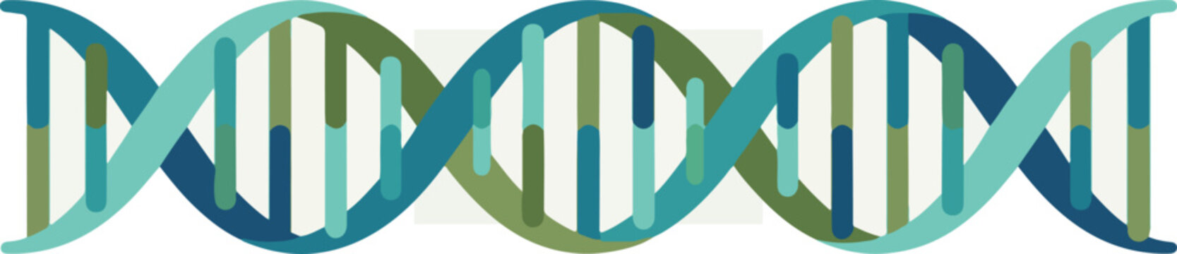 DNA Double Helix Structure Model.