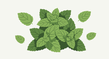 Fresh green mint leaves illustration © Ahmad