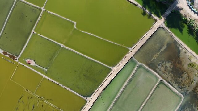 Aerial Top View of Geometric Salt Evaporation Ponds and Green Water Fields