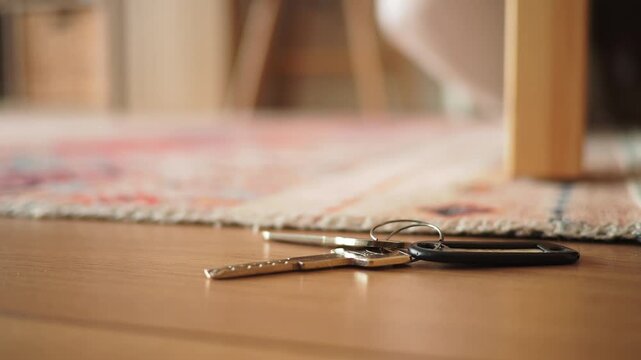 Set of keys laying on wooden floor in cozy living room with colorful rug in background clip.