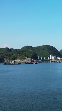 Wide view of boats anchored in the harbor with Cat Ba Island's lush green hills and town buildings in the background under a clear blue sky.
