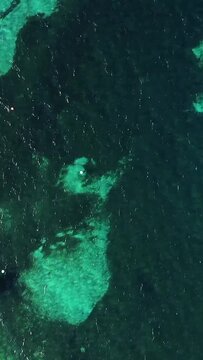 Aerial shot of clear turquoise water and underwater rocks at Plage du Petit Sperone, Corsica. Sunlight sparkles on the surface, creating a vibrant coastal scene.