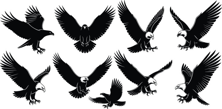 This title emphasizes both the subject (eagles) and the dynamic motion, while keeping it professional and marketplace-ready.