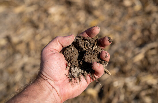 Hand soil macro showing natural texture detail. Soil hand with dry clods and farming concept. Hand soil with organic dirt and rural lifestyle. Soil hand with sustainability and ecology environment.
