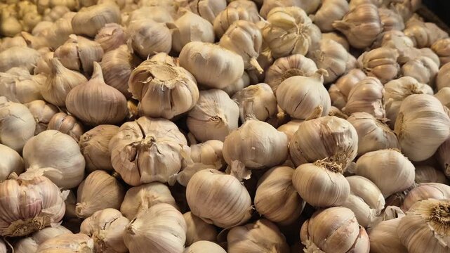 Large Pile of Fresh Organic Garlic Bulbs Displayed for Sale in a Local Vegetable Market