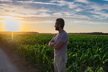 Fototapeta premium A farmer inspects the cornfield on sunrise. The male farmer works outdoors in the field. Agricultural worker farmer harvesting corn. A man examines the maize crop. The farmer cultivates corn on farm.