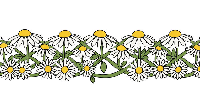 A decorative border of white daisies with yellow centers woven through green interlacing stems