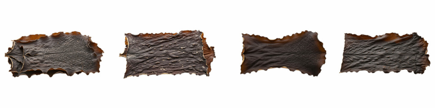 Collection of dried kelp seaweed leaves isolated on black background