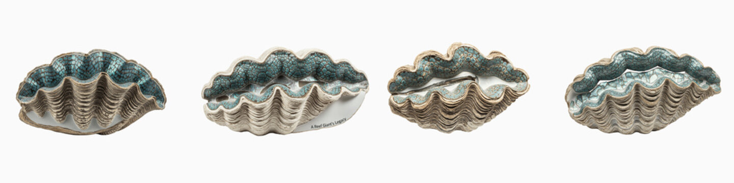 Collection of four giant clam shells with textured blue patterns on black