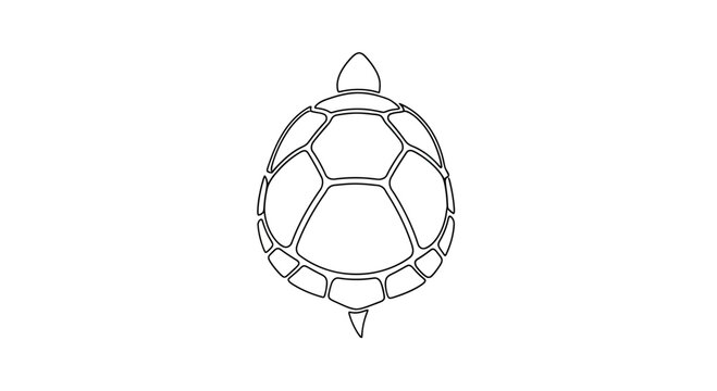 Minimalist outline of a stylized turtle's shell on a white background