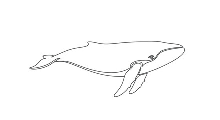A minimalist outline of a whale swimming, rendered in simple grey lines on a white background © STwul