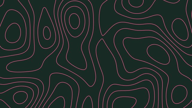 4K Pink Topographic Map Lines Animated Background on Dark Green