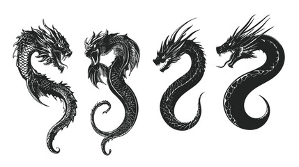 Fototapeta premium Four stylized dragon illustrations. Each dark dragon is in a different pose on a white background