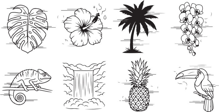 Diverse botanical illustrations showcasing leaves, flowers, and plant structures Vector