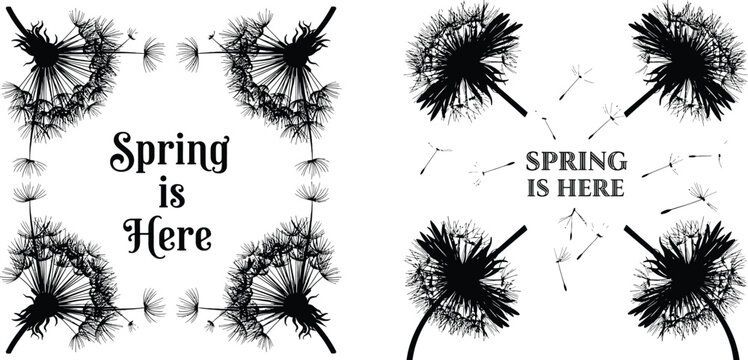 Spring is Here Dandelion Floral Frame Set