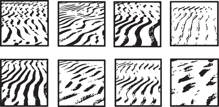 A collection of eight fingerprint samples showcasing unique ridge patterns and minutiae details Vector
