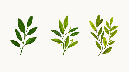 Fototapeta premium Three stylized, green leafy sprigs against a neutral background. Varying shades of green
