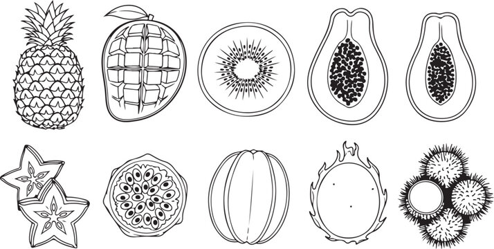 Collection of intricate mandala designs and symmetrical geometric patterns Vector