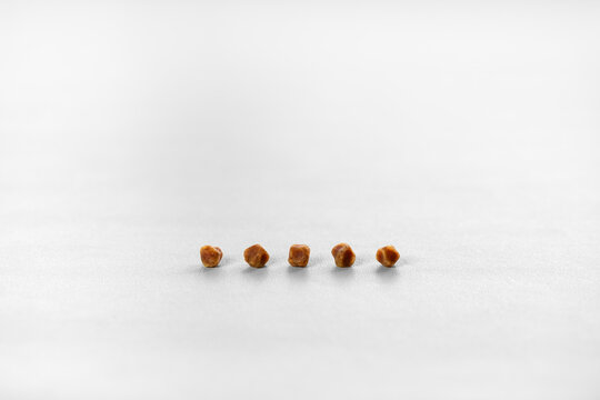 five brown gallbladder lumps or pile gallstones ball lined up group and many kidney stones from cholesterol or bad food on white table for medical science background isolated with copy space