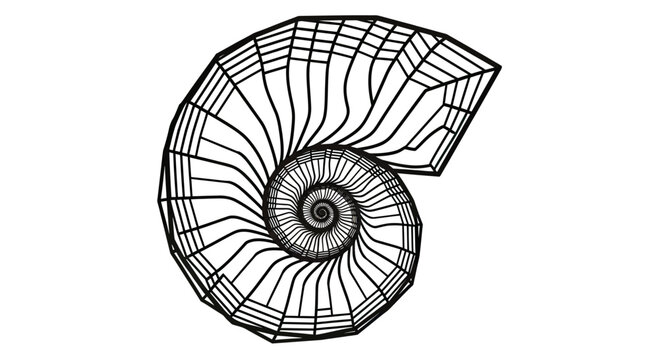 Black outline of a spiraling nautilus shell with segmented chambers