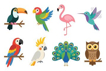 Obraz premium Exotic Tropical Birds Flat Design Illustration Set