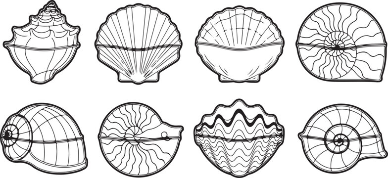 Intricate geometric designs and patterns on various circular surfaces Vector