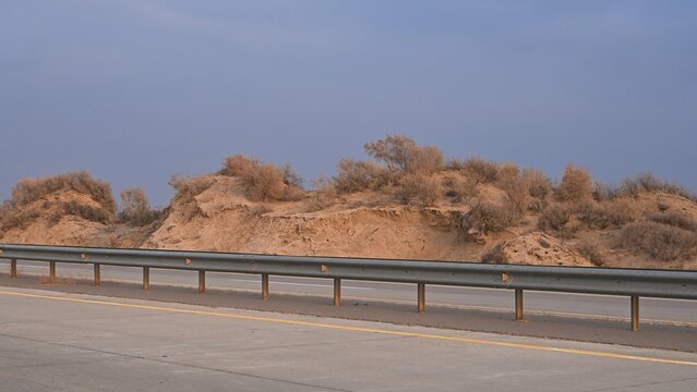 Sand dunes covered with saxaul (Haloxylon) early spring view. Kazakhstan.. R-21 highway. Almaty region. Bodokhudzir. 