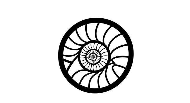 A monochrome Fibonacci spiral in a circular frame, expanding inwards
