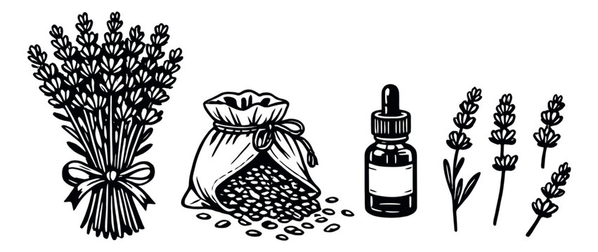 Hand drawn line art set featuring lavender bouquet, sachet, dropper bottle and sprigs for wellness and aromatherapy products