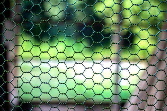 Blurry green outdoor scene through chicken wire mesh fence