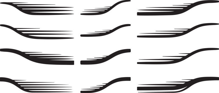 Close-up views of various species of stick insects on a white background Vector