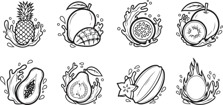 Illustrations of various shells with intricate patterns and details Vector