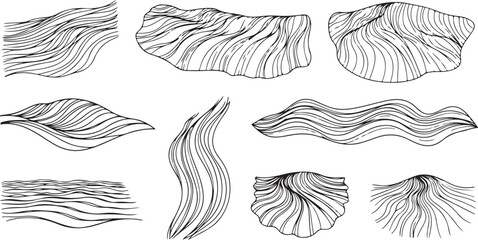 Detailed black and white illustrations of various feather types and shapes Vector © Nur