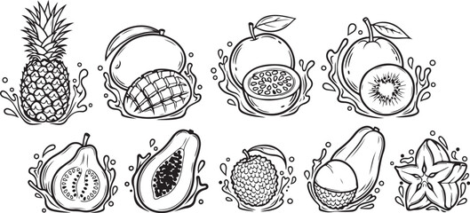Detailed anatomical sketches of various sea creatures and marine life forms Vector © Nur