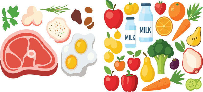 Healthy food ingredients vector collection set with meat eggs milk fruits vegetables colorful nutrition illustration isolated on white background