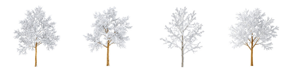 Obraz premium Snow Covered Trees Isolated PNG Winter Nature Set