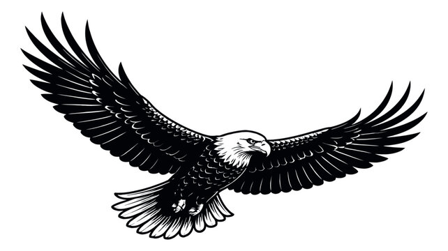 Graphic line art illustration of an eagle depicting soaring with outstretched wings for freedom and power concepts