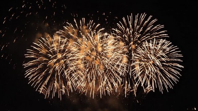 Multiple blue and white fireworks exploding in the dark night sky with fan-shaped pyrotechnic fountains at the base during a large public celebration or festive event display.