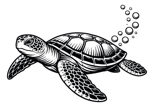 Hand drawn line art illustration of a sea turtle depicting it swimming with bubbles for aquatic designs