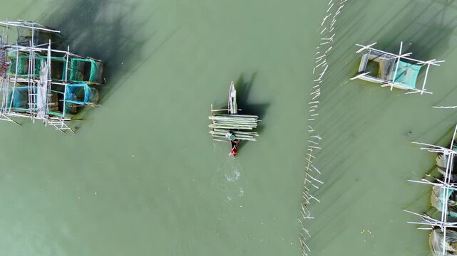 Bird eye view tracking drone shot of a fisherman paddling an outrigger boat carrying bamboo sticks crossing between agricultural fish cages in the brackish waters of Malampaya Inner Sound, Philippines
