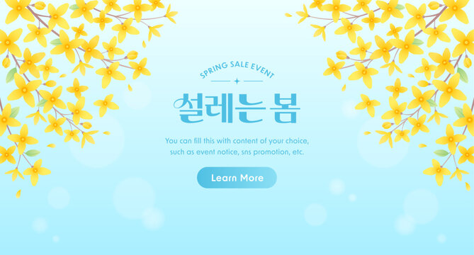 Spring sale event banner template with yellow forsythia flowers on light blue background. Fresh spring blooming vector illustration with copy space. (Translation: Blooming Spring)