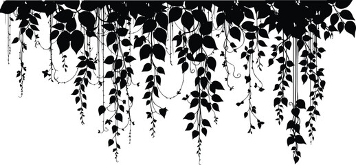 hanging ivy vines and creepers silhouette. hanging jungle vines and tropical liana plants create a dense forest foliage border effect for design. vector illustration © shahzad