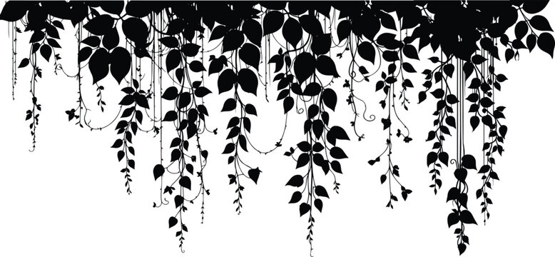 hanging ivy vines and creepers silhouette. hanging jungle vines and tropical liana plants create a dense forest foliage border effect for design. vector illustration