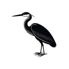 Fototapeta premium Elegant purple heron bird standing, black and white vector illustration with detailed feathers.