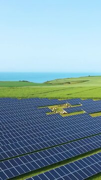 A flock of sheep grazes in a green field surrounded by large solar panel arrays, with rolling hills and the sea in the background. Renewable energy and sustainable agriculture coexist in this scenic