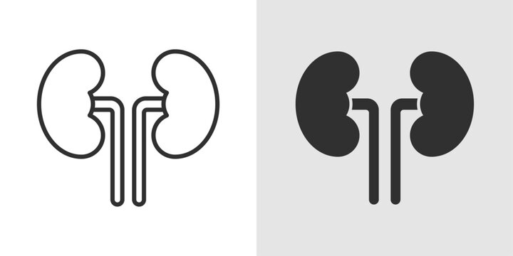 Kidney Icon representing renal health, body filtration, and urinary system.