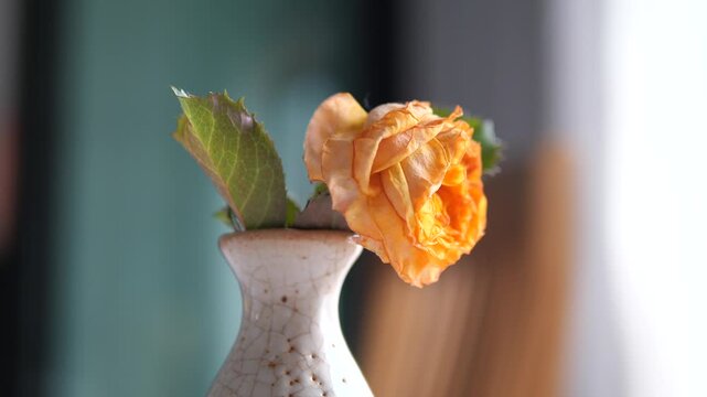 Vertical close-up of withered orange rose in a ceramic vase representing sadness ending and fading memories concept