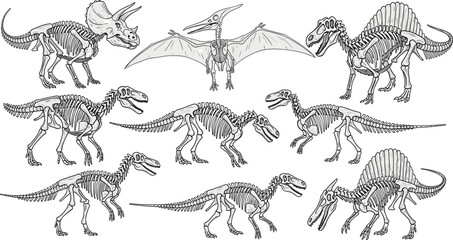 Detailed Black and White Dinosaur Skeletons Set with T-Rex, Pterodactyl, and Triceratops for Educational and Science Illustration Designs. © Aminul
