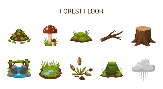 forest floor ecosystem elements icons.